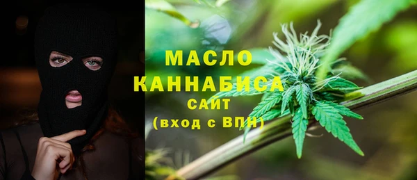 spice Бородино