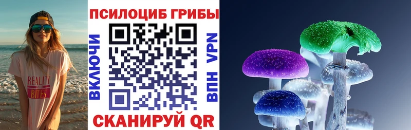 Псилоцибиновые грибы мухоморы Тогучин