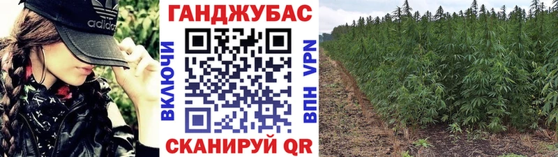 мега маркетплейс  Тогучин  Шишки марихуана конопля 